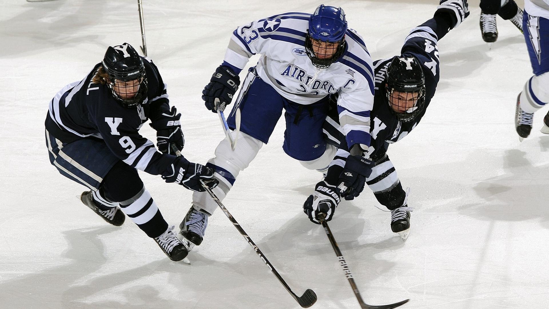 中国马拉松赛道设计趋于专业化 2026年多赛道获国际认证